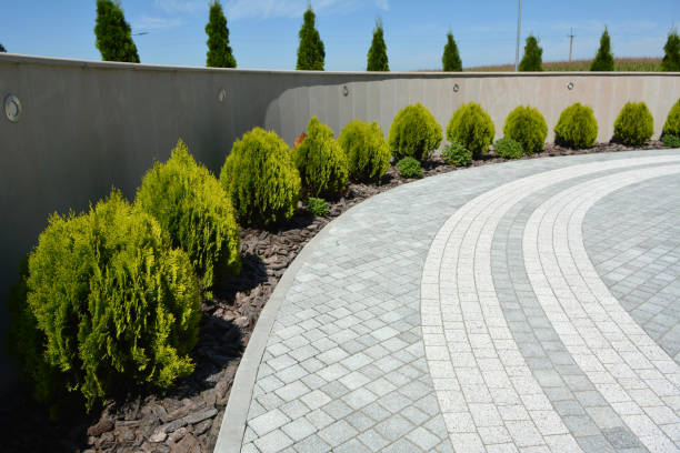 Best Asphalt Driveway Paving in Orland Hls, IL